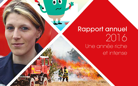 Rapport annuel 2016