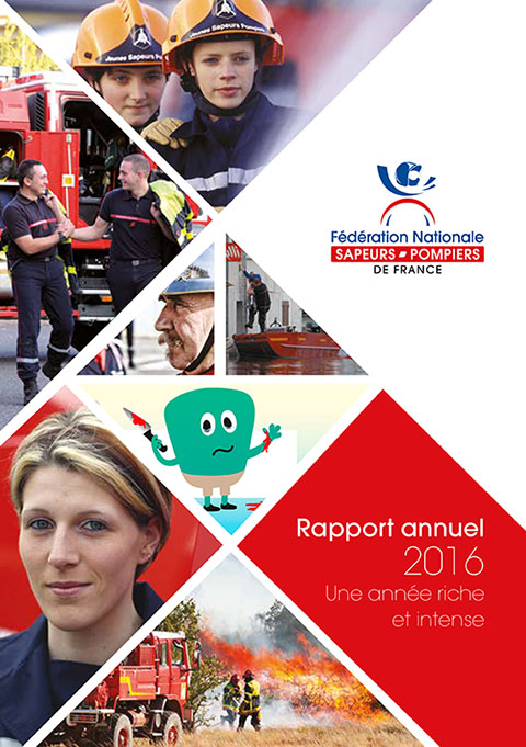 Rapport annuel 2016