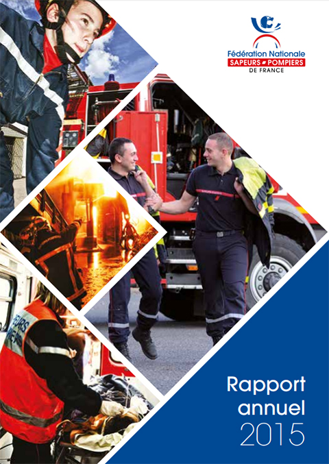 rapport d'activité 2015