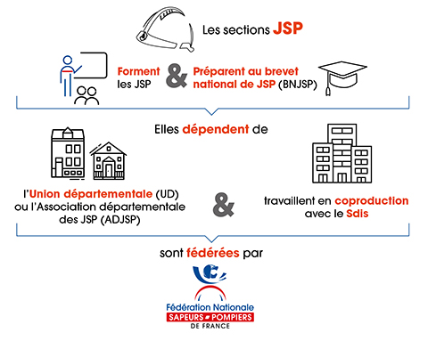 Les sections JSP au sein du réseau associatif