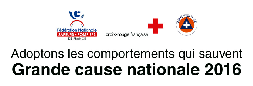 grande cause nationale