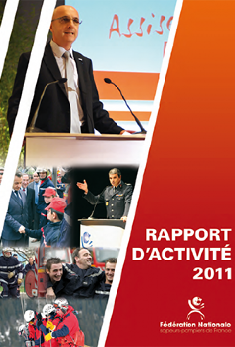 Rapport d'activité 2011