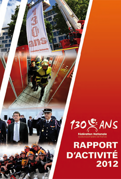 Rapport d'activité 2012