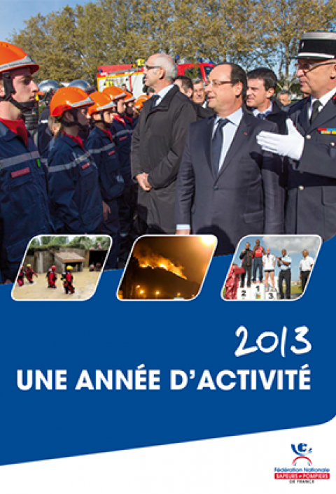 Rapport d'activité 2013