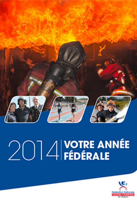 Rapport d'activité 2014