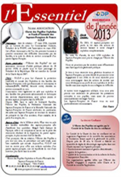 L'essentiel 2013 - Rapport d'activité