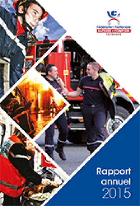 Rapport d'activité 2015