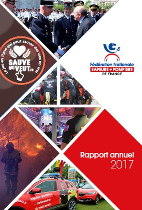 Rapport annuel FNSPF 2017