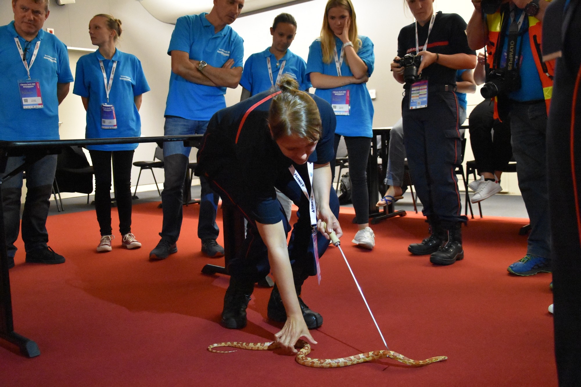 Atelier nouveaux animaux de compagnie