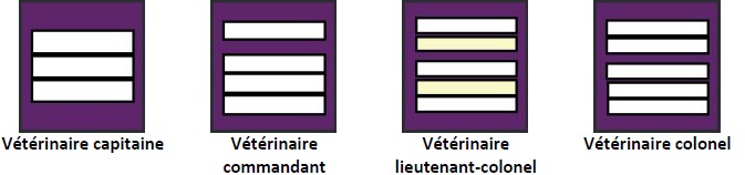 Grades du service de santé et de secours médical (SSSM) : vétérinaires SPV : vétérinaire capitaine, vétérinaire commandant, vétérinaire lieutenant-colonel, vétérinaire colonel