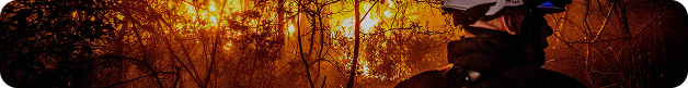 sapeur-pompier face à un feu de foret