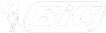 logo Bic